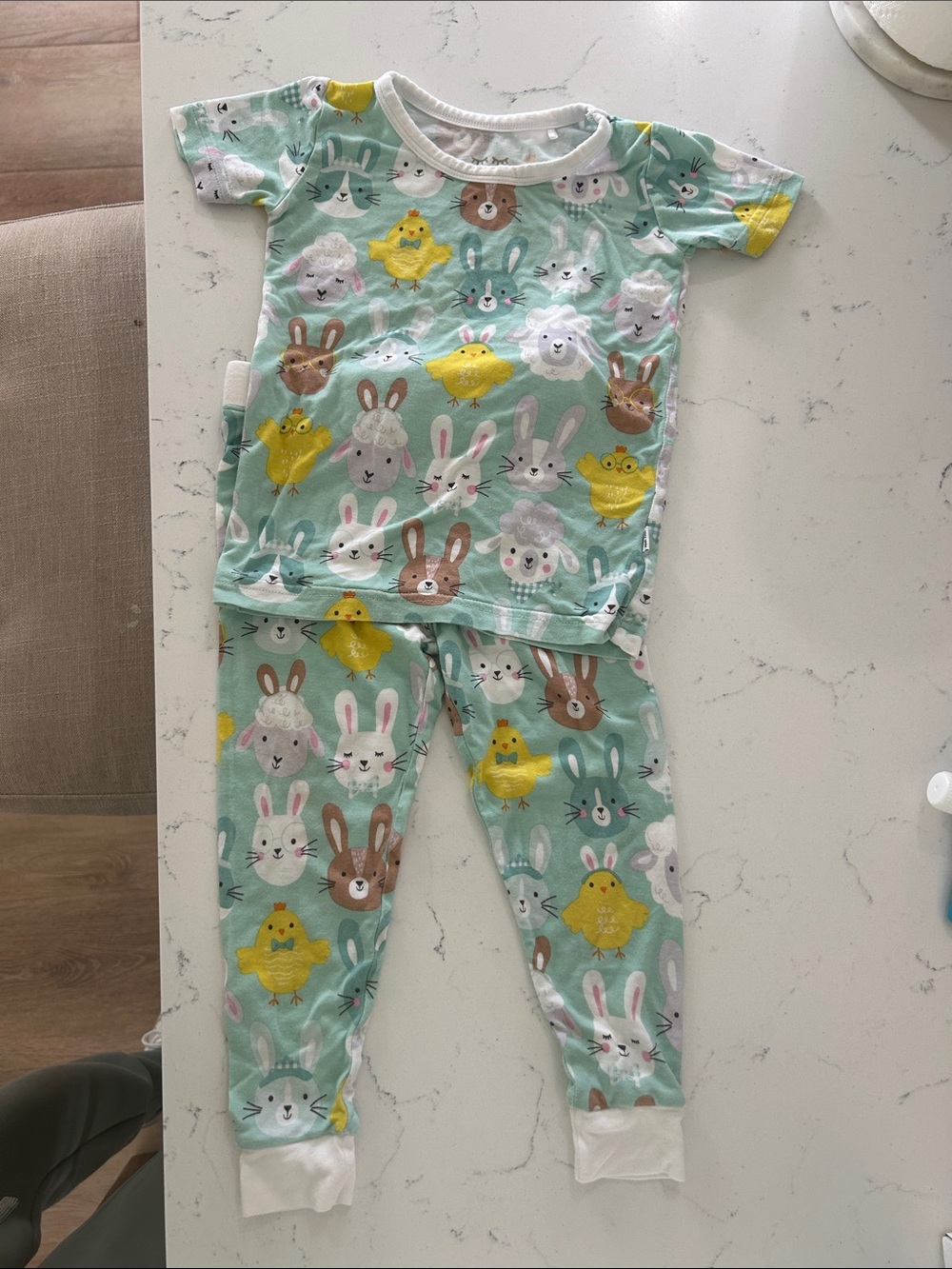 Little Sleepies Mint Bunny & Chick Pajama Set